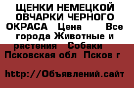 ЩЕНКИ НЕМЕЦКОЙ ОВЧАРКИ ЧЕРНОГО ОКРАСА › Цена ­ 1 - Все города Животные и растения » Собаки   . Псковская обл.,Псков г.